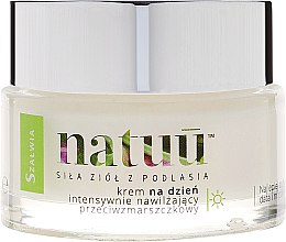 Денний крем для обличчя з екстрактом шавлії - Natuu Smooth & Lift Day Face Cream — фото N2