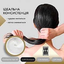 Набір "Професійний догляд за волоссям" - LUM (shm/250ml + h/balm/250ml + h/mask/200ml + hair/coc/50ml) — фото N9