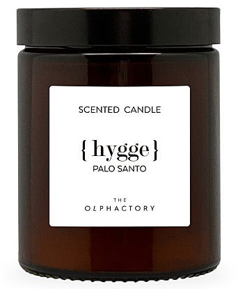 Ароматическая свеча в банке - Ambientair The Olphactory Palo Santo Scented Candle — фото N1