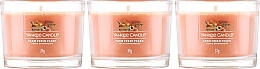 Набор - Yankee Candle Farm Fresh Peach (candle/3x37g) — фото N2