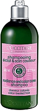 Парфумерія, косметика Шампунь для фарбованого волосся - L'Occitane Aromachologie Radiance & Color Care Shampoo