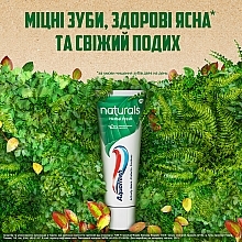 Зубная паста "Свежесть трав с натуральными компонентами" - Aquafresh Naturals Herbal Fresh — фото N4