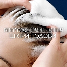 Балансирующий шампунь "Магнетический уголь" - Garnier Botanic Therapy Balancing Shampoo — фото N5