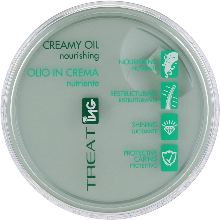 Питательное крем-масло для волос - NG Professional Treat Creamy Oil Nourishing