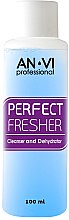 Духи, Парфюмерия, косметика Очиститель для ногтей 3 в 1 - AN-VI Professional 3-in-1 Perfect Fresher