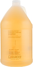 Балансуючий шампунь - Giovanni 50/50 Balanced Shampoo — фото N3