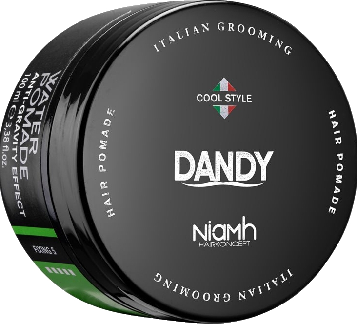 Моделювальна помада для волосся та бороди - Niamh Hairconcept Dandy Anti-Gravity Effect Water Pomade — фото N1