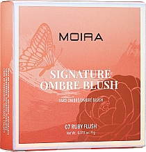 Рум'яна для обличчя - Moira Signature Ombre Blush — фото N17