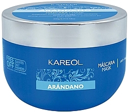 Духи, Парфюмерия, косметика Маска для волос "Черника" - Kareol Blueberry Anti-Aging Mask