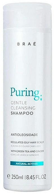 М'який очищувальний шампунь для волосся - Brae Puring Gentle Cleansing Shampoo — фото N1