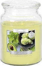 Ароматическая премиум свеча в банке "Мята и авокадо" - Bispol Premium Line Aura Garden Mint & Avocado — фото N1