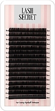 Накладні вії, чорні, 16 ліній (один розмір, 0.1, С, 8) - Lash Secret — фото N1