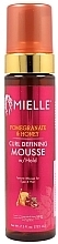 Мусс для вьющихся волос - Mielle Organics Pomegranate & Honey Curl Defining Mousse — фото N1