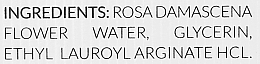 Тонизирующая розовая вода - Alqvimia Rose Water Facial Tonic — фото N3