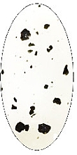 Топове покриття для гель-лаку з чорними пластівцями - Tsarsky Proffesional Finish Polish Gel — фото N2