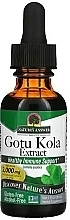 Парфумерія, косметика Пищевая добавка "Готу кола", 2000 мг - Nature's Answer Gotu Kola Extract