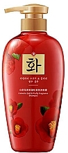 Живильний зволожувальний шампунь для волосся - Hanfen Camellia Soft & Fluffy Fragrance Shampoo — фото N1