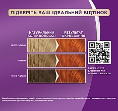 УЦЕНКА Стойкая крем-краска "Интенсивный цвет" - Palette Intensive Color Creme Long-Lasting Intensity Permanent * — фото N4