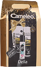 Парфумерія, косметика Набір - Delia Cameleo (shm/250ml + cond/200ml + shm/spray/50ml)