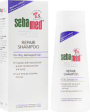 Парфумерія, косметика Шампунь відновлювальний - Sebamed Repair Shampoo *