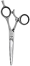 Ножницы парикмахерские Т63655 прямые 5,5" - Artero Cosmos — фото N1