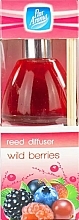 Аромадиффузор "Лесные ягоды" - Pan Aroma Wild Berries Reed Diffuser — фото N2