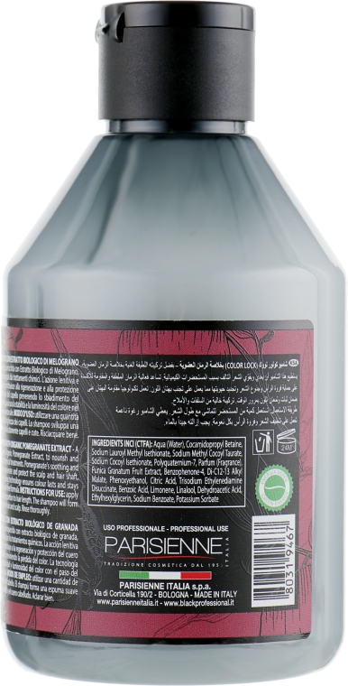 Шампунь безсульфатний для фарбованого волосся - Black Professional Rouge Color Lock Shampoo — фото N2