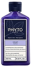 Шампунь для нейтралізації жовтизни волосся - Phyto Purple No Yellow Shampoo — фото N1