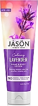 Духи, Парфюмерия, косметика Лосьон для тела и рук успокаивающий "Лаванда" - Jason Natural Cosmetics Lavender Hand & Body Lotion