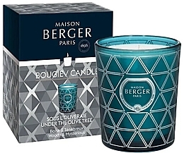 Духи, Парфюмерия, косметика Ароматическая свеча - Maison Berger Geode Under the Olive Tree Candle