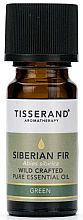 Эфирное масло сибирской пихты - Tisserand Aromatherapy Siberian Fir Wild Crafted Pure Essential Oil — фото N1