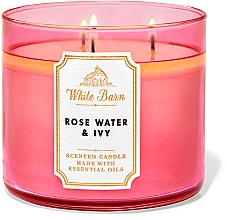 Bath and Body Works Rose Water & Ivy White Barn - Ароматизована свічка — фото N1