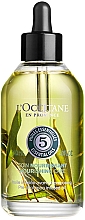 Духи, Парфюмерия, косметика Питательное масло для волос - L'Occitane Aromachologie Nourishing Care Pre-Shampoo Infused Oil