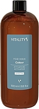 Окислитель для краски для мужчин 4% - Vitality's For Man Colour Activator — фото N1