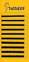 Духи, Парфюмерия, косметика Ресницы для наращивания 10 л, MIX черные, изгиб C, толщина 0.10мм, длина 5(2)*6(4)*7(4)мм - Tigress