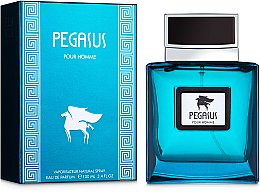 Flavia Pegasus Pour Homme - Парфумована вода  — фото N2