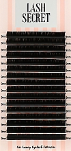 Парфумерія, косметика Накладні вії, чорні, 16 ліній (один розмір, 0.07, D, 9) - Lash Secret