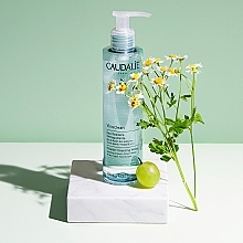 Міцелярна вода - Caudalie Vinoclean Micellar Cleansing Water — фото N2