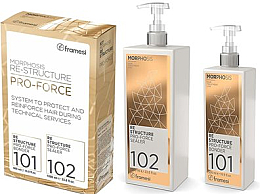 Парфумерія, косметика Набір для волосся - Framesi Morphosis Re-Structure Pro-Force Kit (Concentrate/500 ml + Concentrate/1000 ml)