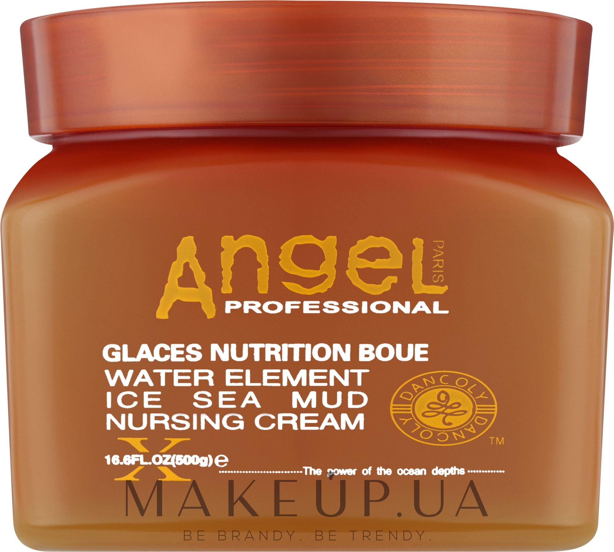 Живильний крем для волосся із замороженою морською гряззю - Angel Professional Paris Water Element Ice Sea Mud Nursing Cream — фото 500g