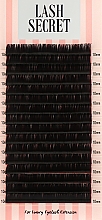 Накладные ресницы, черные, 16 линий (один размер, 0,05, D, 10) - Lash Secret — фото N1