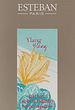 Парфюмированный аромат для дома - Esteban Ylang Ylang Home Fragrance (пробник) — фото N2