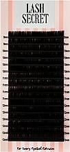 Накладні вії, чорні, 16 ліній (mix, 0,07, L, 9-13) - Lash Secret — фото N1
