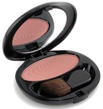 Парфумерія, косметика Рум'яна - Shiseido Makeup Accentuating Powder Blush 