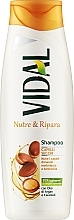 Парфумерія, косметика Шампунь для волосся "Арганова олія" - Vidal Shampoo
