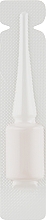 Духи, Парфюмерия, косметика Сыворотка от чрезмерного жирнения волос - Bishoff (пробник)