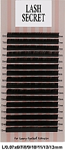 Накладні вії, чорні, 16 ліній (mix, 0,07, L, 6-13) - Lash Secret — фото N1