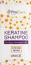 Духи, Парфюмерия, косметика Шампунь с кератином для сухих и поврежденных волос - Body&Soul ProCare Keratin Shampoo (пробник)