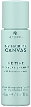Ежедневный увлажняющий шампунь - Alterna My Hair My Canvas Me Time Everyday Shampoo — фото N1