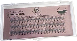 Парфумерія, косметика Lewer Natural Lash Normal Volume San Francisco - Накладні вії в пучках, 14 мм C, 60 шт.